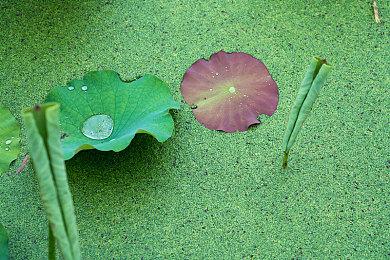 《最终幻想起源》新截图 展示怪物和玩家进阶职业等